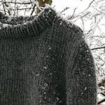 Woolguy Paris